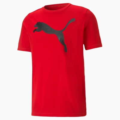 Футболка ACTIVE Big Logo Tee