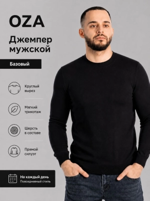 OZA / Джемпер всесезонний мужской