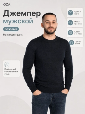 OZA / Джемпер всесезонний мужской