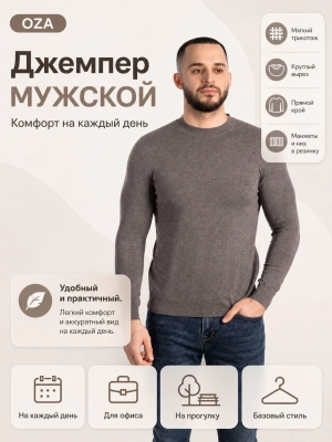 OZA / Джемпер всесезонний мужской