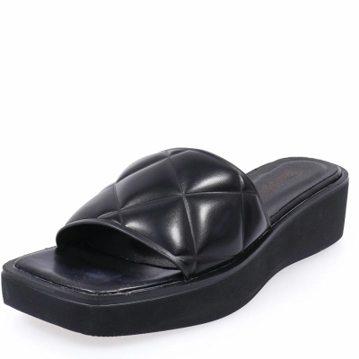 Bona Mente / Сабо