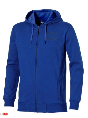 Толстовка Asics Graphic FZ Hoddie
