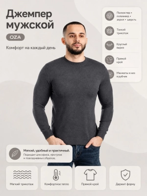 OZA / Джемпер всесезонний мужской