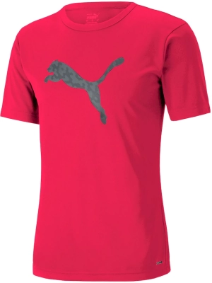 Футболка Puma individualRISE Logo Tee