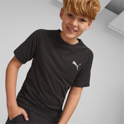 Футболка EVOSTRIPE Tee