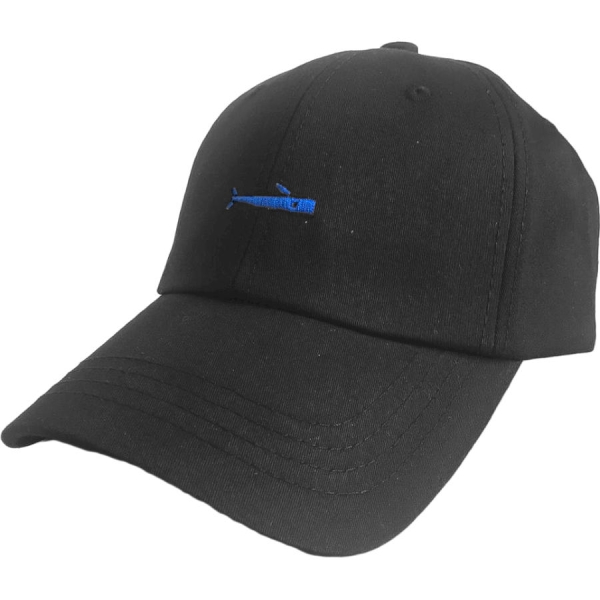 PAC HEAD / Бейсболка