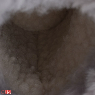 Patrol / Ботинки