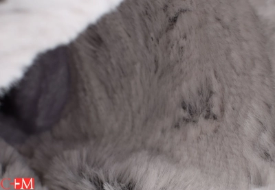 Luhta / Сапоги Leenu Ms