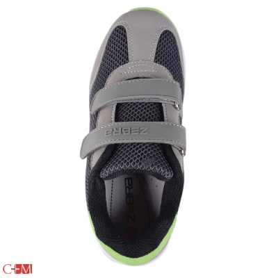 Зебра / Кроссовки